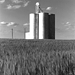 acres