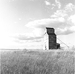 wheat basin