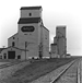 medora