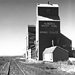 spring coulee