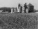 belgrade, ne