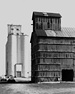 bernstein, tx