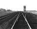 brantford