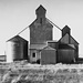 cottonwood, sd