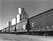 mccook