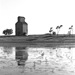 nunda, sd farm