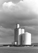 reiman, wa