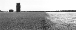 roseville