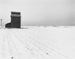 withrow, wa farm